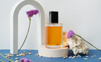 Fragrance Revival Review: Rediscovering the Essence of Scent