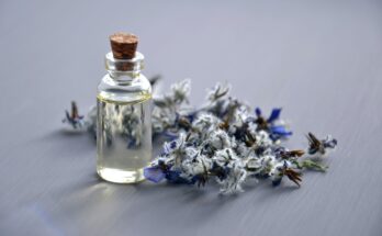 Exploring Fragrance: The Allure of the Fragrance Discovery Set